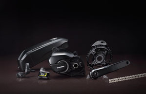 Shimano Steps E8000 Mittelmotor für e-Mountainbikes