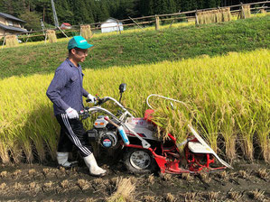 金山さんが稲刈りをする様子