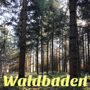 Zauberhafter Wald am Pointnerhof bei München