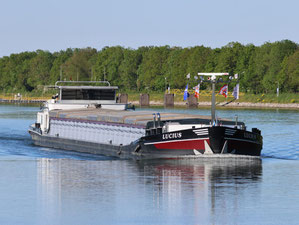 ms Lucius