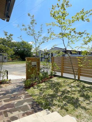豊川 豊橋 庭 外構 ﾃﾞｻﾞｲﾝ 植栽　芝　ヤマモミジ