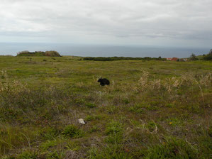 Punta da Pargo