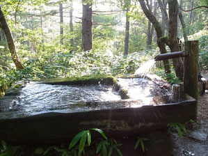 水場です。豊富でおいしい水です。