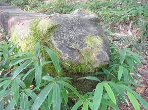 水場のベンチ。端には熊の彫り物が。