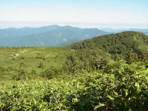 楽々新道から小桜平避難小屋と右に薬師山