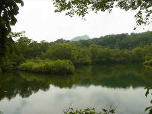 雨飾山を映す鎌池