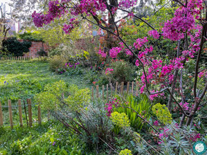 Créer un massif - Caractéristiques de l'espace