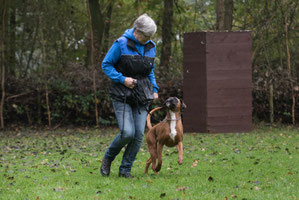 De website van veeraika-home-boxers!