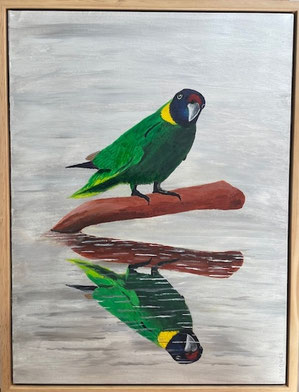 "Margaret River Ringneck" 50cm x 65cm Acrylic on Canvas, pinewood frame $300 (excluding freight)