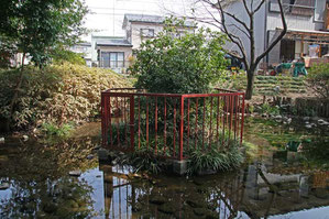 　湧き水でできた弘法の池