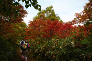 　磐梯山の紅葉