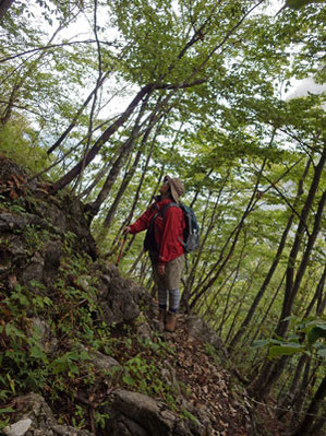 6月。非常に歩きにくかった山　花もなし