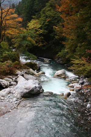 吊り橋からの風景