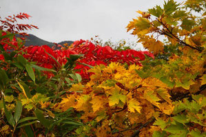 　磐梯山の紅葉