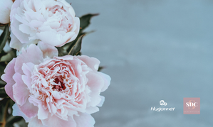 Hugonnet, fleurs artificielles BtoB
