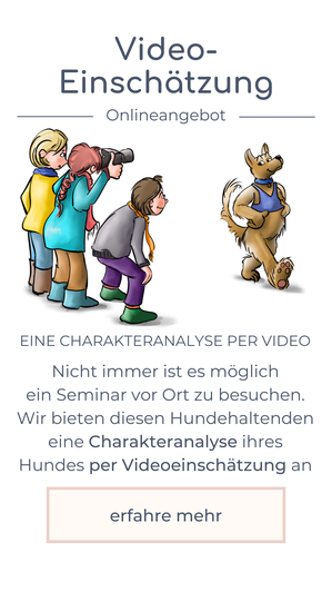Video-Einschätzung
