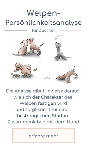 Welpen-Persönlichkeitsanalyse
