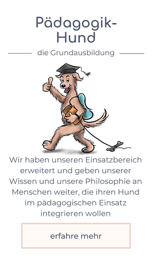 Pädagogik-Hund, die Grundausbildung