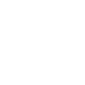 BSV Elmenhorst von 1498