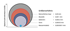 Die Grössenverhältnisse des Wasser-Moleküls im Ver-gleich zu Viren, Bakterien, Blut und einem Haar.
