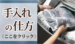 手入れの仕方