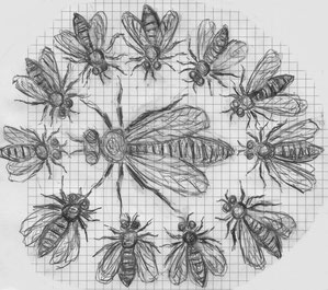 Das Bienenvolk schart sich um die Königin