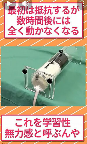 馬　動かない　なぜ