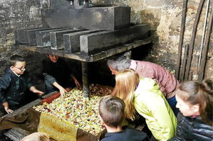Les enfants ont suivi, avec grand intérêt, la fabrication du jus de pommes qui, fermenté, donnera du cidre.