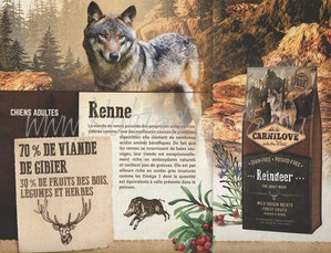 croquette pour chien riche en protéines