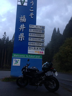 福井に入った、紅葉はきれいだが雨