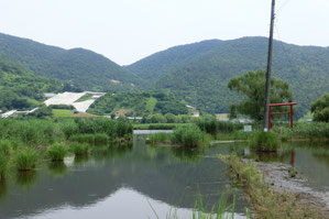 白竜湖