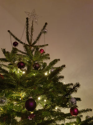 christbaum_pixplosion_pixelio