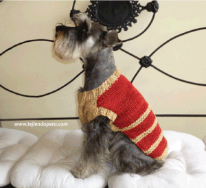 Chompas tejidas para perros best sale