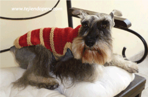 Abrigo para perros dos agujas sales