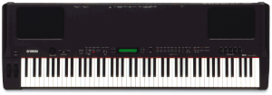 P-250 Digital Piano