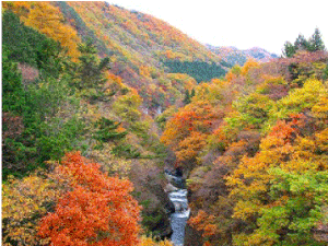 紅葉の吹割