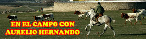Entrevista al ganadero Aurelio Hernando de Soto del Real