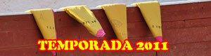 Clases prácticas, becerradas, noviladas sin picar, novilladas picadas, corridas de toros y rejones