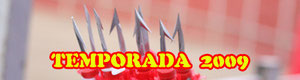 Clases prácticas, becerradas, noviladas sin picar, novilladas picadas, corridas de toros y rejones