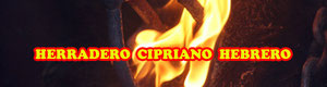 Herradero en la Finca de la Ganadería Cipriano Hebrero de Ajalvir