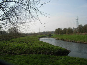 The River Tame at Minworth