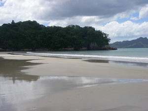 Cooks Beach
