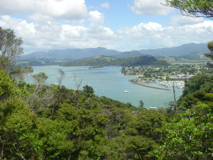 Blick auf Whitianga