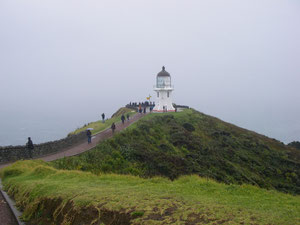 Cape Reinga