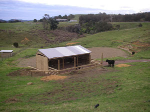 Blick vom Haus auf den neuen Stall