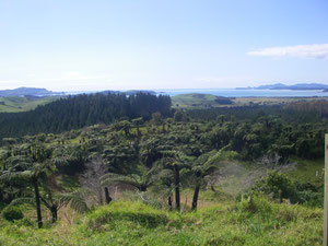 Blick vom Vulkan