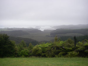 Aussicht vom Berg Richtung Paihia