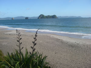 der Strand von Hahei