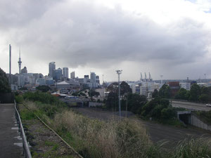 back in Auckland . . .