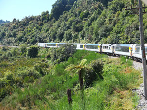 der TranzAlpine